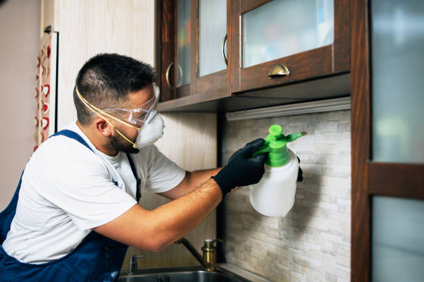 Reliable Bryn Mawr, PA Pest Control Solutions