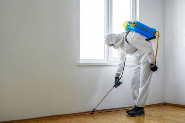 Best Flea Control Services  in Bryn Mawr, PA