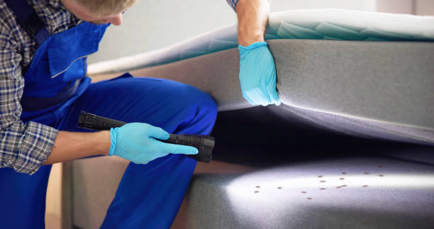 Best Rat Extermination Near Me  in Bryn Mawr, PA