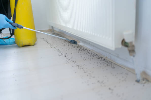 Best Pest Control for Homes  in Bryn Mawr, PA